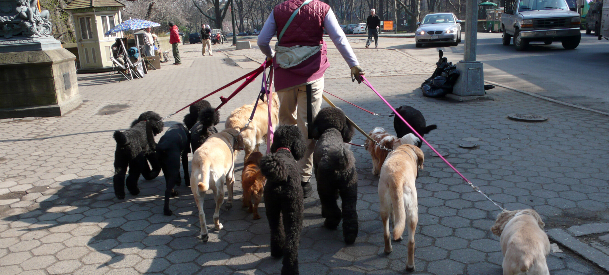 cobrar por pasear perros? Blog de TinkerLink